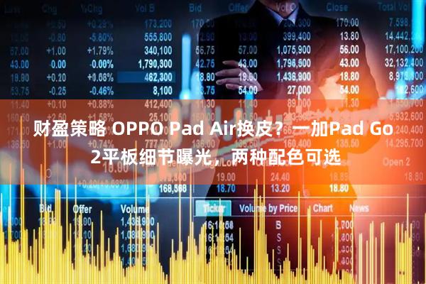 财盈策略 OPPO Pad Air换皮？一加Pad Go 2平板细节曝光，两种配色可选